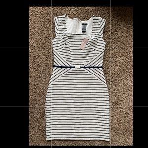 0P Ann Taylor dress. NWT